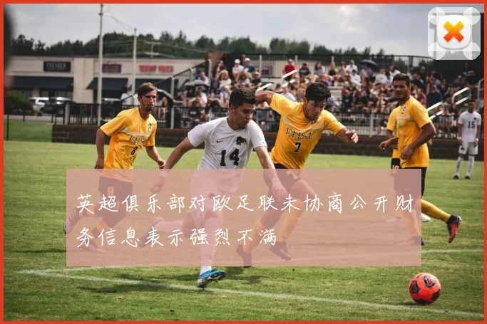 英超俱乐部对欧足联未协商公开财务信息表示强烈不满